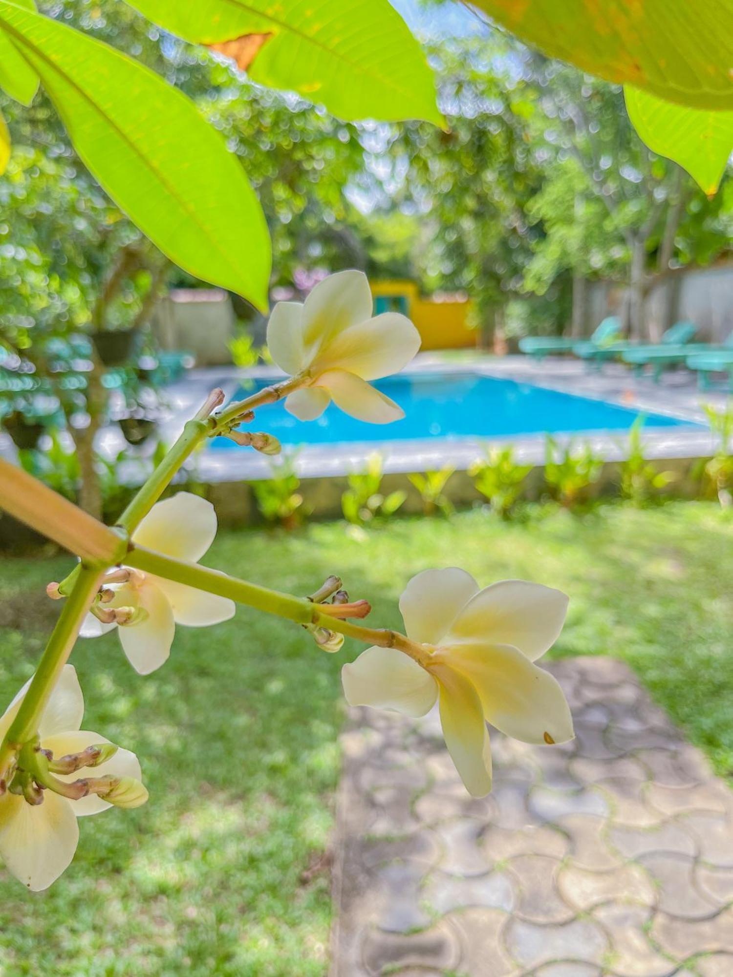 Hotel Easy Living Hikkaduwa Exterior foto